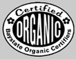 BSO