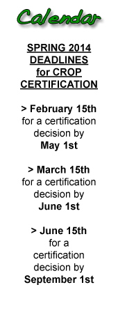 Calendar