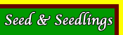 ORGANIC SEEDS